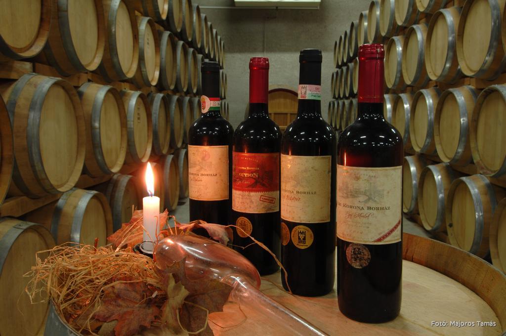Grape&Wine Guesthouse Eğri Dış mekan fotoğraf